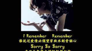 对不起, 只是忽然很想你    李宇春 LiYuchun + 歌词 lyrics   YouTube