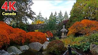 【4K UHD】🇨🇦Autumn Scenery. Vancouver Canada Autumn 2021