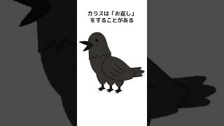 ほとんどの人が知らない動物の面白い雑学#雑学 #animalshorts  #1分雑学 #豆知識 #動物