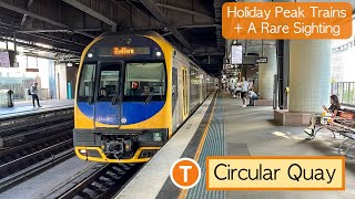 Transport for Sydney Vlog 924: Circular Quay Station - Holiday Peak Trains + A Rare Sighting