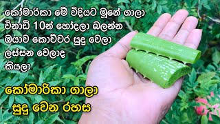 කෝමාරිකා මේ විදියට ගාලා විනාඩි 10න් හෝදලා බලන්කෝ කොච්චර සුදු වෙලාද කියලා | yuwathi tips | sudu wenna