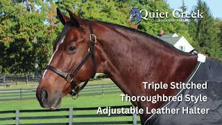 Quiet Creek Triple Stitched Thoroughbred Style Adjustable Leather Halter