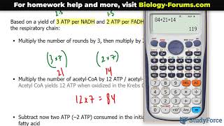 How to calculate the number of ATP molecules produced during beta oxidation (Odd chain)