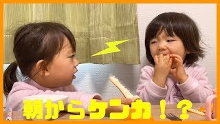 【Kids Mukbang】朝ごはんにゆでたまご！【モーニングルーティン】