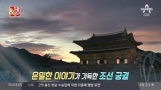 도심 속 시간여행! 역사적 아픔 간직한 '조선 궁궐' | 김현욱의 굿모닝