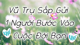 🌈🔮🌻Vũ Trụ Sắp Gửi 1 Người Bước Vào Cuộc Đời Bạn (Độc Thân, Crush)🌟💥💖#tarot #vtarot #xemtarot