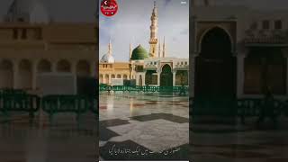 #meranabihe #allah #muhammadﷺ #makkhamadina #viralvideos #youtubeshorts 🕋🕋❤️❤️