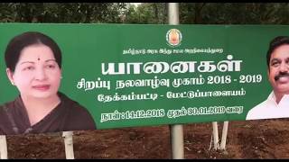 மேட்டுப்பாளையம் அருள்மிகு வனபத்ரகாளியம்மன் கோவில்