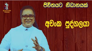 අවංක පුද්ගලයා  12/12/2023   Thought For The Day  Sinhala   දවසේ සිතුවිල්ල