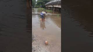 മഴയത്ത് ഒരു വലവീശൽ #fishcatching kottayam net fishing #fish