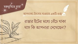 ✒স্টারলাইট লাইন, আপনার জন্য বসন্ত অপেক্ষা করছে, বিশ্ব সুসমাচার প্রচার সংস্থা ঈশ্বরের মণ্ডলী