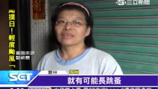 人間悲劇！85歲臥床嬤 瘦成皮包骨｜三立新聞台