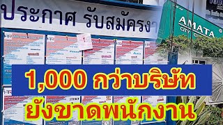 จุดรับสมัครงานหน้านิคมอมตะซิตตี้ชลบุรี