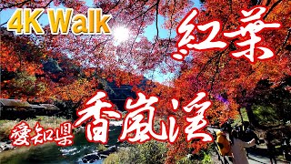 香嵐渓 もみじ祭り/小原ふれあい公園 四季桜まつり/紅葉 autumn leaves JAPAN AICHI TOYOTA 4K Walk ASMR