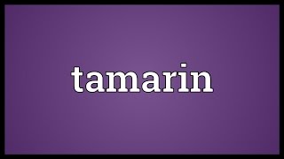 Tamarin Meaning