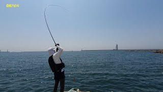 울산OK낚시 용연 화력발전소 입구 복합기 매립지 용연사각 구정문 포인트 소개 벵에돔낚시 기록영상