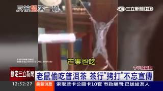 港男「綁鼠逼供」還自拍！網友批殘忍│三立新聞台