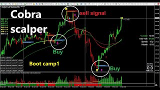 COBRA SCALPER - HOW TO SCALP - BOOTCAMP 1 🚀🚀