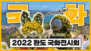 가을 오션뷰 국화향기 조합👍 미쳤..👀 2022 완도 국화전시회 넘나 이쁜거🌼