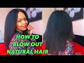 BEST REVAIR ROUTINE FOR NATURAL HAIR| Revair Blow Out