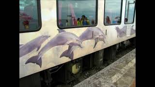 코레일 바다열차 SEA train 삼척해변발 강릉행 정동진역 정차