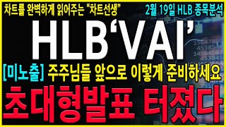 [HLB 에이치엘비] \