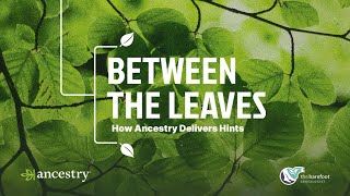 How Ancestry Delivers Hints | Between the Leaves with The Barefoot Genealogist | Ep 6 | Ancestry®