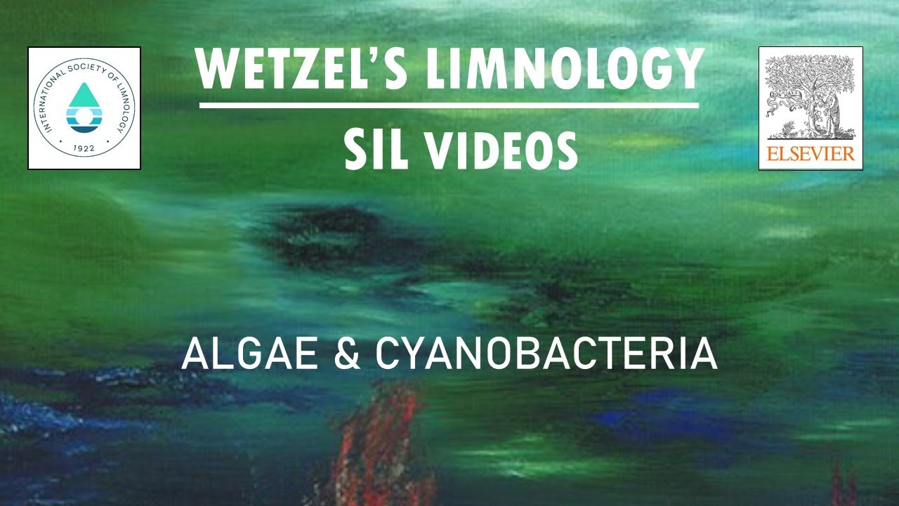 Algae & Cyanobacteria - Wetzel's Limnology SIL Video - YouTube