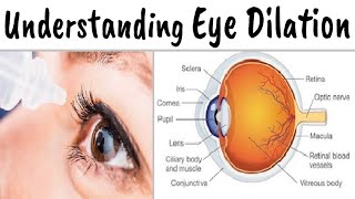Why It's Important to Have a Dilated Eye Exam