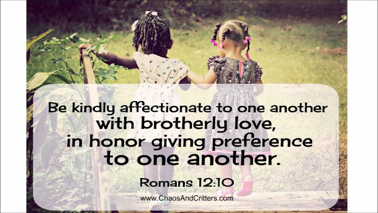 Daily Bible Verse Romans 12 10 Daily Inspiration And Encouragement