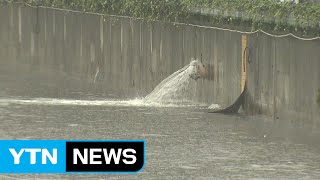 부산 전역에 게릴라성 호우...늦은 오후까지 비  / YTN (Yes! Top News)