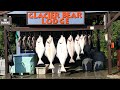 Alaska glacier bay halibut fishing part 5