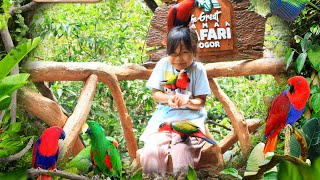 ULANG TAHUN KAKAK KE TAMAN SAFARI BOGOR