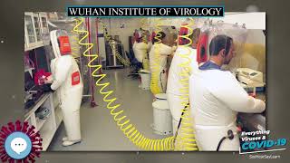 Wuhan Institute of Virology 🧫👩🏾‍⚕️🤒 Everything Viruses & COVID-19 🤒👩‍⚕️🧫