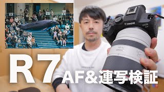 Canon EOS R7 AF＆連写性能解説【鬼連写すごい！】