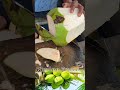 The green coconut peeling skills - Fruit Cutting Skills #shorts #coconut #asmr #skills