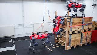 Robust Ladder Climbing with a Quadrupedal Robot