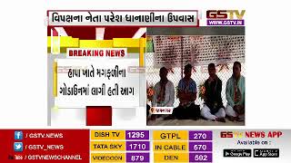 જામનગર : મગફળી કાંડમાં પરેશ ધાનાણીના ધરણા યથાવત