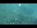 タイ　タオ島ダイビングその8　thailand koh tao scuba diving8