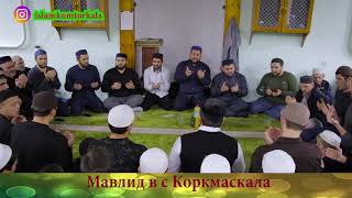 Мавлид с Коркмаскала  https://www.instagram.com/islamkumtorkala/