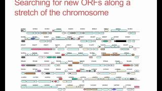 What is gene annotation?