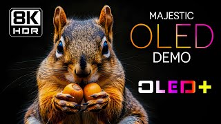 BEST OF OLED - 8K HDR-də Rifah Dünyası | Dolby Vision™