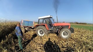 Zetor 12145 / Zetor 12011 Kukorica  Aratás / Harvest / Zniwa / Ernte 2017