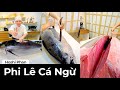 Phi Lê Cá Ngừ Hấp Dẫn - Chef Hoshi Phan