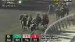 Funny Cide - 2002 Bertram F. Bongard Stakes