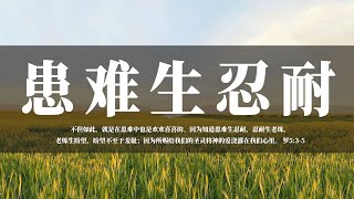 【睡前祷告】患难生忍耐20241019 - 主啊，求你的圣灵浇灌我们，让我们得着信心，在患难中也是欢欢喜喜的。主啊，求你帮助我们不要害怕困难，而是带着忍耐的心，面对每一次挑战。