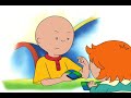 laten we wat plezier hebben caillou nederlands wildbrain