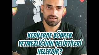 🙀Kedilerde Böbrek Yetmezliğinin Belirtileri Nelerdir?🙀