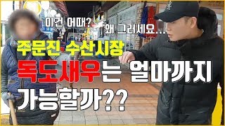 강릉여행2부 주문진수산시장 독도새우 얼마까지 가능할까? 노량진보다 싸다 커플여행 이벤트 진행중 !! 브이로그 [상유부부]