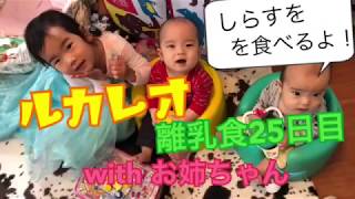 【双子】 緑色は苦手！双子赤ちゃん【ルカレオ/0歳7カ月】離乳食を完食できるか！？2019年2月16日 【赤ちゃん】